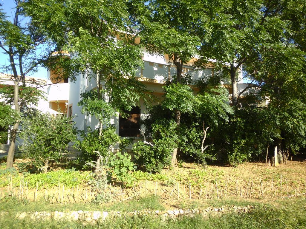 Apartments Kresimir Beauty With Shadow Trees And Parking Place Pag Town Værelse billede