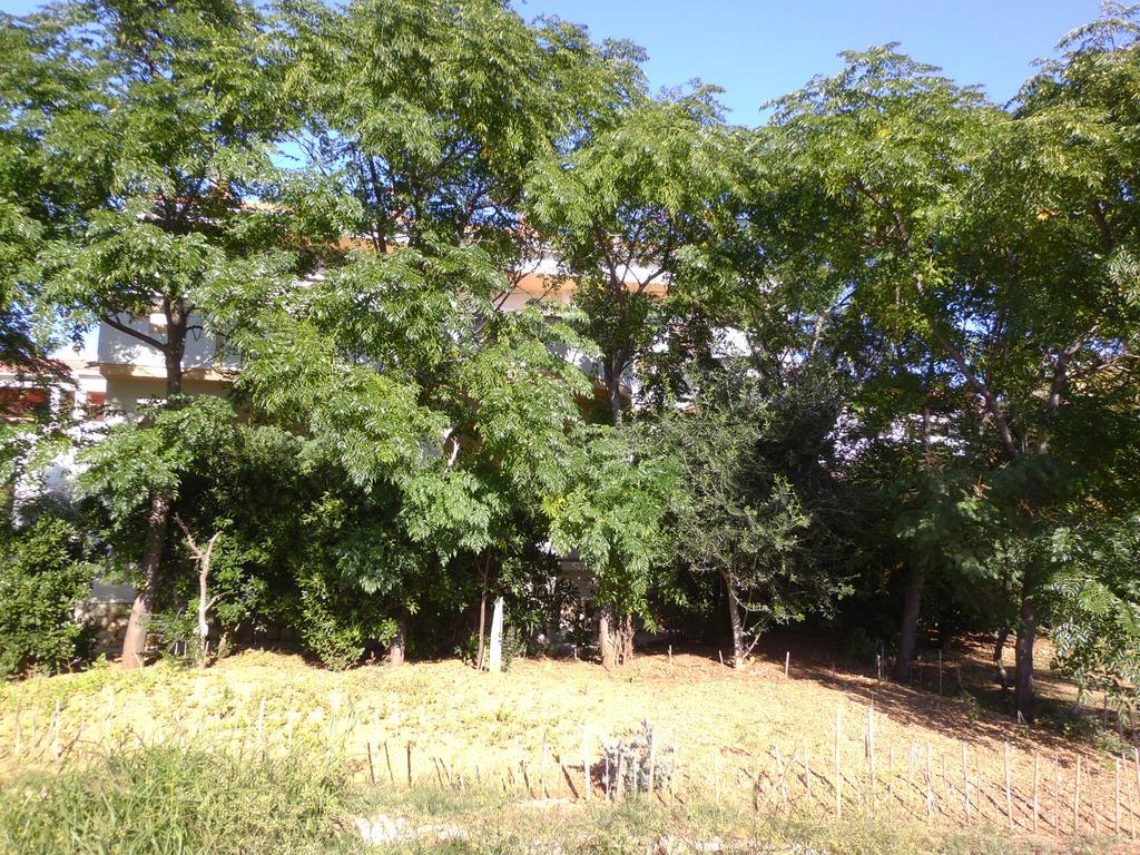 Apartments Kresimir Beauty With Shadow Trees And Parking Place Pag Town Eksteriør billede